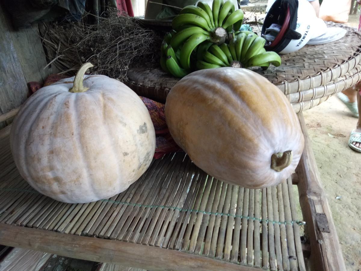 Phong Nha Rice Field Homestay Exterior foto